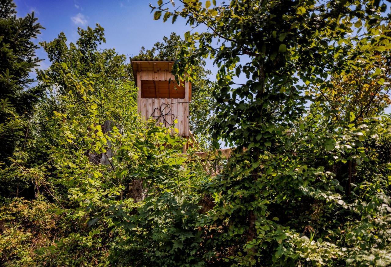 Pfaenderglueck Villa Lochau Eksteriør bilde